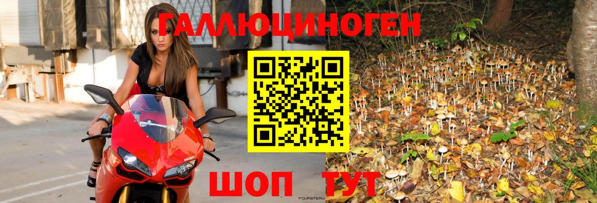Псилоцибиновые грибы прущие грибы Звенигород